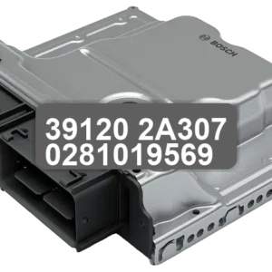 ECU Sterownik 39120-2A307 0281019569